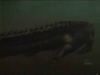 prehistoricrocodilesattacks05.jpg