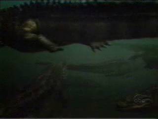 prehistoricrocodilesattacks21.jpg