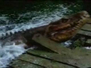 prehistoricrocodilesattacks36.jpg