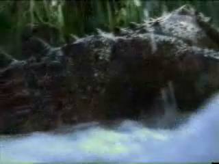 prehistoricrocodilesattacks37.jpg