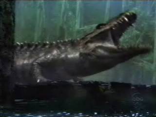 prehistoricrocodilesattacks40.jpg