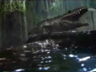 prehistoricrocodilesattacks41.jpg