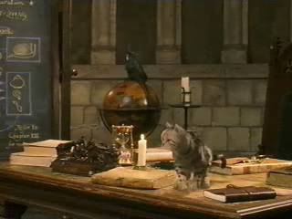 McGonagall_into_Cat2-03.jpg