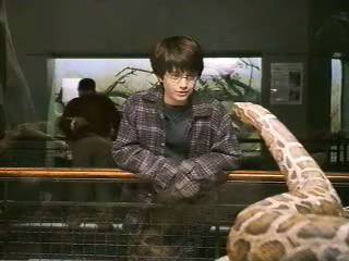 Snake_Scene09.jpg