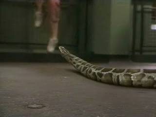 Snake_Scene32.jpg