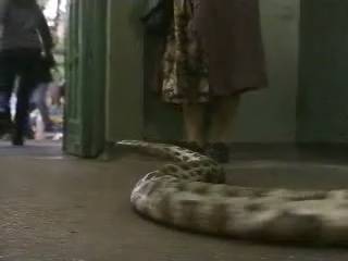 Snake_Scene33.jpg