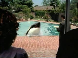 Sprint_Commercial-Shamu03.jpg