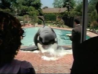 Sprint_Commercial-Shamu04.jpg