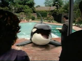 Sprint_Commercial-Shamu05.jpg