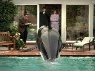 Sprint_Commercial-Shamu06.jpg