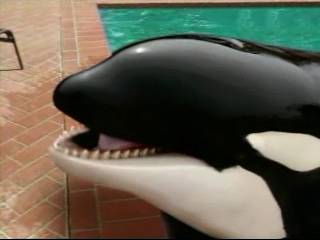 Sprint_Commercial-Shamu09.jpg
