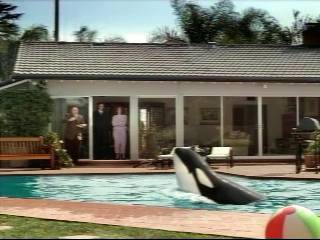 Sprint_Commercial-Shamu10.jpg