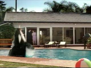 Sprint_Commercial-Shamu12.jpg