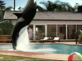 Sprint_Commercial-Shamu13.jpg