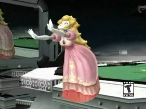 smashbrosmeleepreview27.jpg